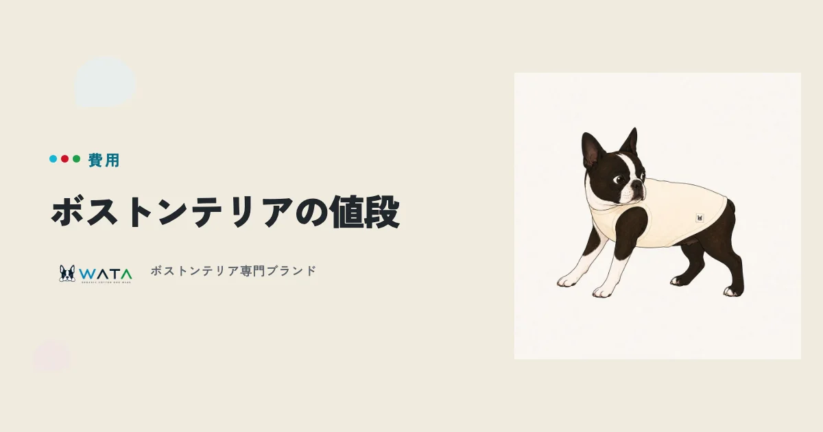ボストンテリアの子犬はいくら？価格相場と一生にかかるお金