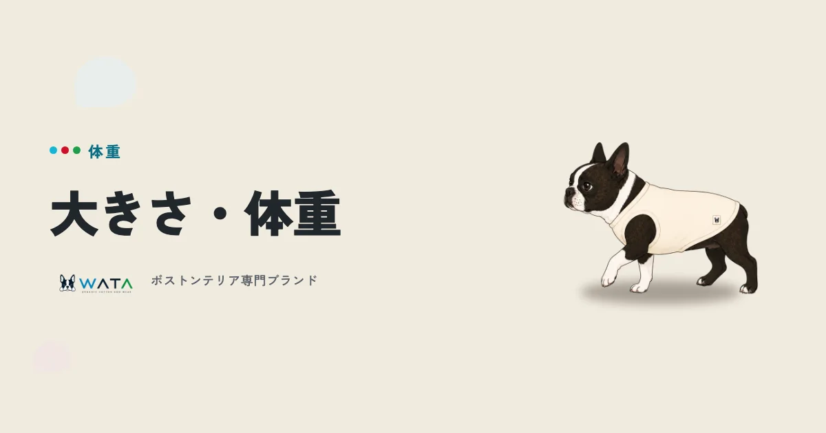 ボストンテリアは何kgになる?成犬の大きさと体重の目安